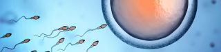 centro per la gravidanza catania Centro di Medicina della Riproduzione e Infertilità