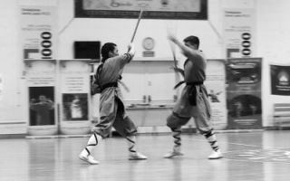 scuola di kung fu firenze Shaolin Quan Fa Firenze - Arti Marziali Kung Fu