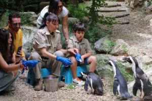 parco zoologico firenze Giardino Zoologico di Pistoia