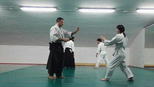scuola di aikido firenze AIKIBUDO FIRENZE