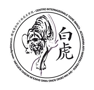 scuola di arti marziali padova Shaolin Kung Fu Padova - Centro Internazionale Tigre Bianca