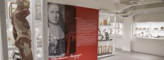 museo delle cere padova Museo Morgagni di Anatomia Patologica