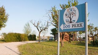 pensione per gatti padova Dog Park Conselve