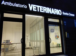 clinica veterinaria padova Ambulatorio Veterinario S. Croce