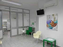 clinica veterinaria padova Ambulatorio Veterinario S. Croce